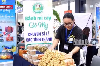 Sôi nổi trải nghiệm "Hải Phòng - Cuối tuần rong chơi"