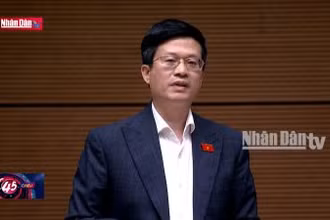 Nên giảm thuế thu nhập doanh nghiệp cho đơn vị sự nghiệp công lập