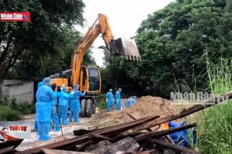 Tiêu hủy đàn hổ chết do dính cúm A/H5N1
