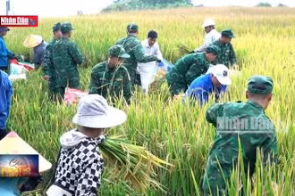 Bộ đội Biên phòng giúp đỡ người dân biên giới