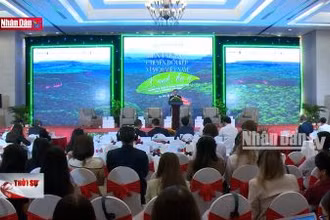 Chuyển đổi kép vì một Việt Nam xanh hơn