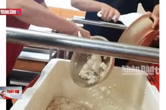 Xử lý nghiêm tập thể, cá nhân cung cấp bữa ăn không bảo đảm chất lượng