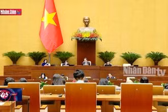 Sửa Luật Quảng cáo cần bảo đảm lợi ích người xem