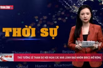 Thủ tướng sẽ tham dự Hội nghị Các nhà lãnh đạo Nhóm BRICS mở rộng