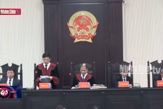Tuyên án vụ AIC Bắc Ninh