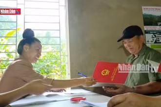 Chi trả dịch vụ môi trường rừng - Tiềm năng mở rộng dịch vụ mới