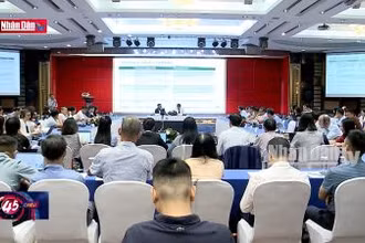 Các bon rừng - Tiềm năng tài chính cho bảo vệ và phát triển rừng
