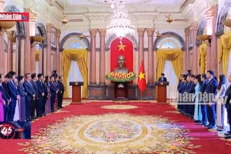 Chủ tịch nước gặp mặt cán bộ, nhân viên Văn phòng Chủ tịch nước