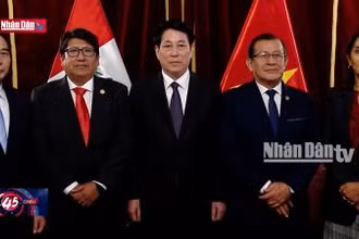 Mở ra nhiều cơ hội hợp tác giữa Việt Nam với Chile và Peru