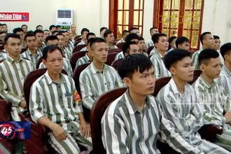 Tạo điều kiện để người được đặc xá nhanh chóng tái hòa nhập cộng đồng
