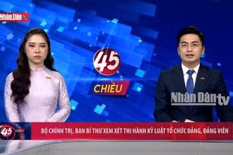 Bộ Chính trị, Ban Bí thư xem xét thi hành kỷ luật tổ chức Đảng, Đảng viên