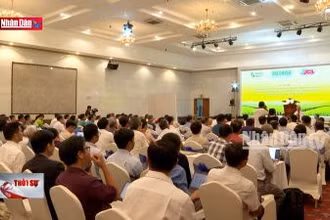 Giải pháp nhân rộng mô hình phát triển một triệu ha lúa phát thải thấp