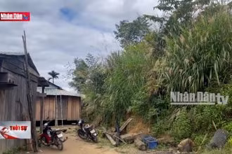 Cần bảo đảm an toàn cho các hộ dân làng Tu Hon