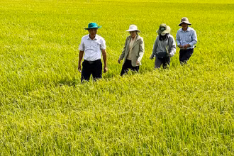 Cán bộ ngành nông nghiệp tỉnh Sóc Trăng tích cực hướng dẫn nông dân phòng chống hạn mặn.
