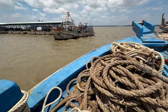 Tàu cá hoạt động tại cảng cá Trần Đề.