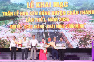 Tặng tranh kèn hồng tri ân các cá nhân gây dựng đường hoa.
