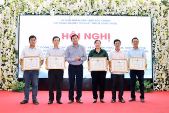 Trao giấy khen cho các tập thể xuất sắc trong thi đua nâng cao hiệu quả quản lý chất lượng an toàn thực phẩm nông lâm sản ở Sóc Trăng.