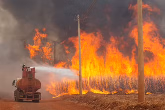 Nỗ lực khống chế vụ cháy rừng tại bang Sao Paulo, Brazil. (Ảnh: Reuters)