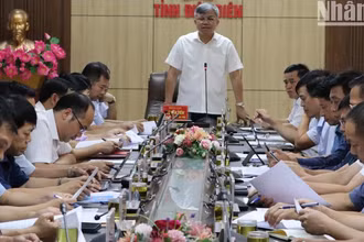 Đồng chí Lò Văn Tiến, Phó Chủ tịch Ủy ban nhân dân tỉnh Điện Biên kết luận cuộc họp Ban Chỉ đạo thực hiện các dự án đầu tư trồng mắc ca trên địa bàn tỉnh. 