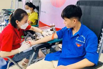 Sinh viên Thủ đô hiến máu tình nguyện tại Ngày hội.