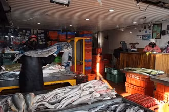 Central de Abasto được xây dựng theo cấu trúc lục giác, chia thành nhiều phân khu kinh doanh các mặt hàng chuyên biệt như rau, hoa quả, các loại củ, thịt tươi, thịt chế biến sẵn và thủy hải sản. 