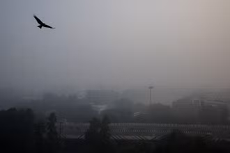 Trước tình trạng ô nhiễm không khí ngày càng nghiêm trọng tại Delhi, Chính phủ Ấn Độ đã quyết định cấm toàn bộ các công trình xây dựng không cần thiết; đồng thời kêu gọi người dân tránh đốt than để sưởi ấm. (Ảnh: Reuters)