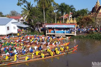 Các đội tham gia giải đua ghe ngo huyện Châu Thành năm 2023.