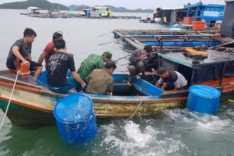 Tàu đánh cá của ông Hà Văn Luông được lực lượng chức năng trục vớt.