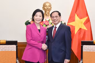 Phó Thủ tướng, Bộ trưởng Ngoại giao Bùi Thanh Sơn tiếp Bộ trưởng Doanh nghiệp vừa và nhỏ và khởi nghiệp Hàn Quốc 