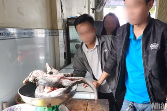 Các cá thể kỳ đà hoa được chào bán cho khách tại Đức Cơ, Gia Lai. (Ảnh: Sơn Bách)
