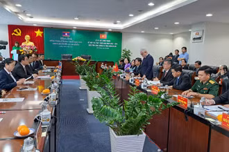 Quang cảnh buổi làm việc.