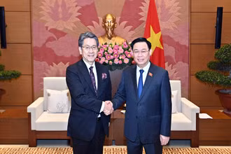 Chủ tịch Quốc hội Vương Đình Huệ và Chủ tịch Hội đồng Quản trị Ngân hàng hợp tác quốc tế Nhật Bản Tadashi Maeda tại buổi tiếp. (Ảnh Duy Linh)