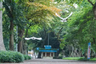 Hà Nội đã, đang và sẽ là thành phố vì Hòa bình đúng nghĩa