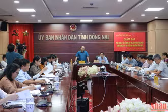 Quang cảnh buổi giám sát.