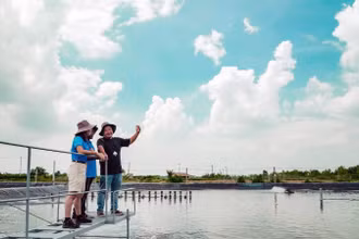 Các chuyên gia thủy sản trao đổi kinh nghiệm tại trang trại nghiên cứu tôm, huyện Cần Giờ, TP Hồ Chí Minh. (Ảnh: THỤC KHUÊ)