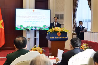 Phó Thủ tướng, Bộ trưởng Ngoại giao Bùi Thanh Sơn phát biểu tại buổi gặp mặt.