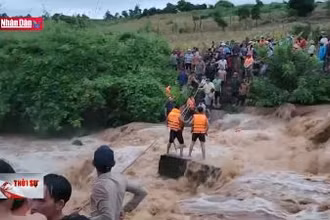 Cứu hột thành công 4 cháu bé mắc kẹt giữa dòng nước lũ