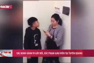 Xác minh hành vi gây rối, xúc phạm giáo viên tại Tuyên Quang
