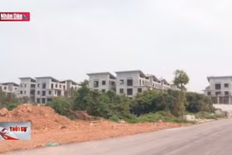 Nhiều bất cập quản lý đất đai cần được tháo gỡ