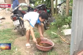 Hà Nội nhiều ổ dịch sốt xuất huyết phức tạp, kéo dài