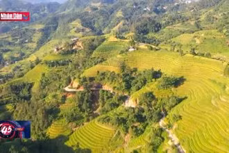 Đưa du lịch ruộng bậc thang trở thành sản phẩm mang tính đặc trưng