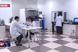 630 ứng viên đạt chuẩn Giáo sư, Phó Giáo sư năm 2023