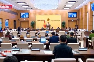 Chỉnh lý, hoàn thiện dự án luật căn cước