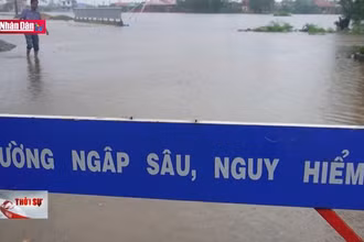 Đà Nẵng và TP Tam Kỳ (Quảng Nam) cho học sinh nghỉ học ngày 16/10