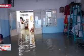 Đà Nẵng sơ tán khẩn cấp người dân ra khỏi vùng rốn lũ