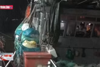 Cứu sống 14 thuyền viên chìm tàu trong thời tiết xấu