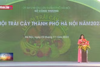 Kết nối tiêu thụ trái cây, nông sản các tỉnh, thành phố