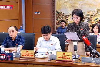 Mức đóng bảo hiểm xã hội nên linh hoạt, phù hợp