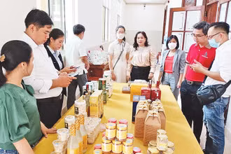 Đánh giá, xếp loại sản phẩm OCOP trên địa bàn tỉnh Tiền Giang.
