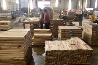 Sản xuất gỗ xuất khẩu tại Công ty cổ phần gỗ TAVICO (tỉnh Đồng Nai). (Ảnh VŨ HOÀNG)